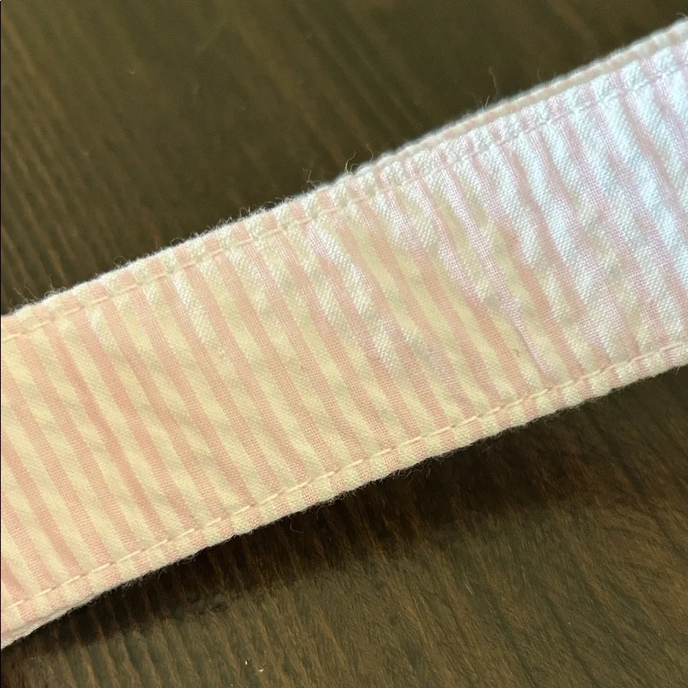 Mint Pink and White Seersucker Belt with Silver Rings